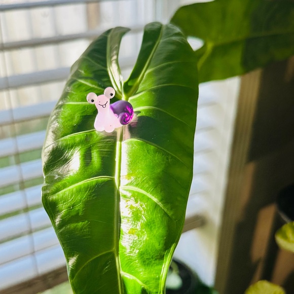 🍃50 Pack of PetalPals Plant Magnets!🍃 - Picture 1 of 12